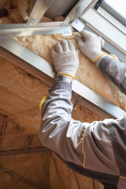 Types of Insulation We Offer in Pomona, CA