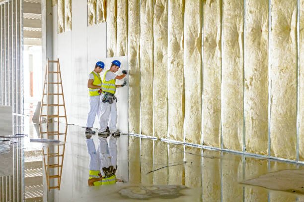 Best Specialized Insulation Services in Pomona, CA